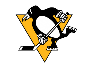 Penguins 11418