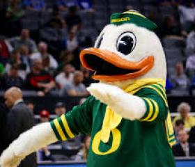 Oregon Ducks 12619